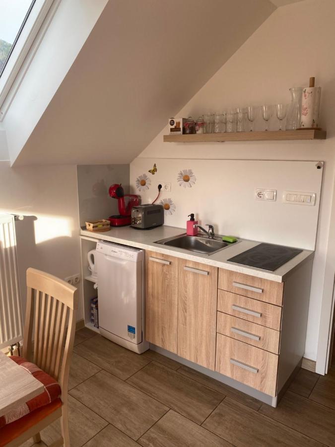 Apartment Marjetka Zirovnica Bagian luar foto