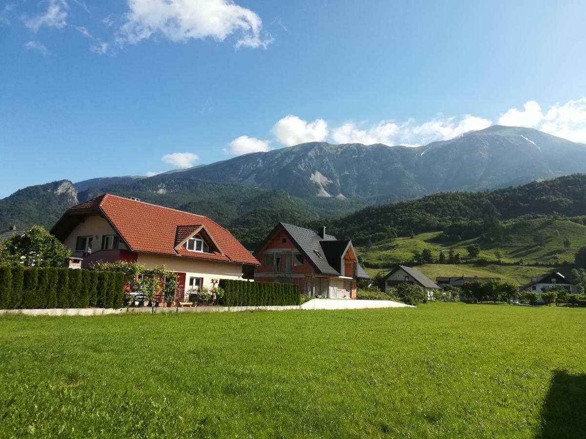 Apartment Marjetka Zirovnica Bagian luar foto